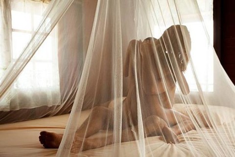 gode porno hjemmesider tantra massage porno gode porno hjemmesider tantra massage porno