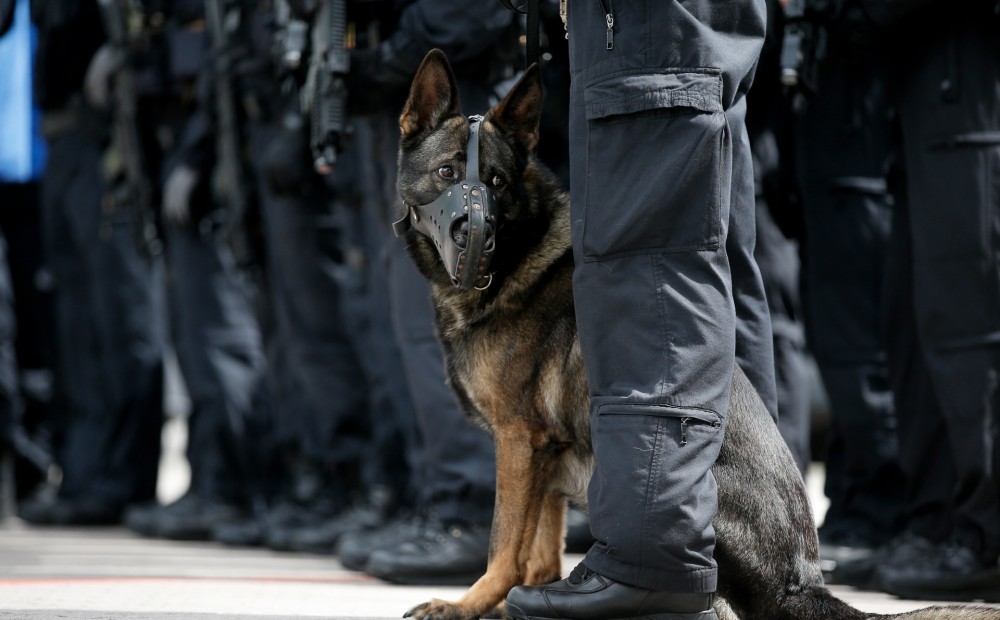 Policijas suns Zviedrijā kļūst par varoni, atrodot pazudušu 6 gadus vecu meitenīti
