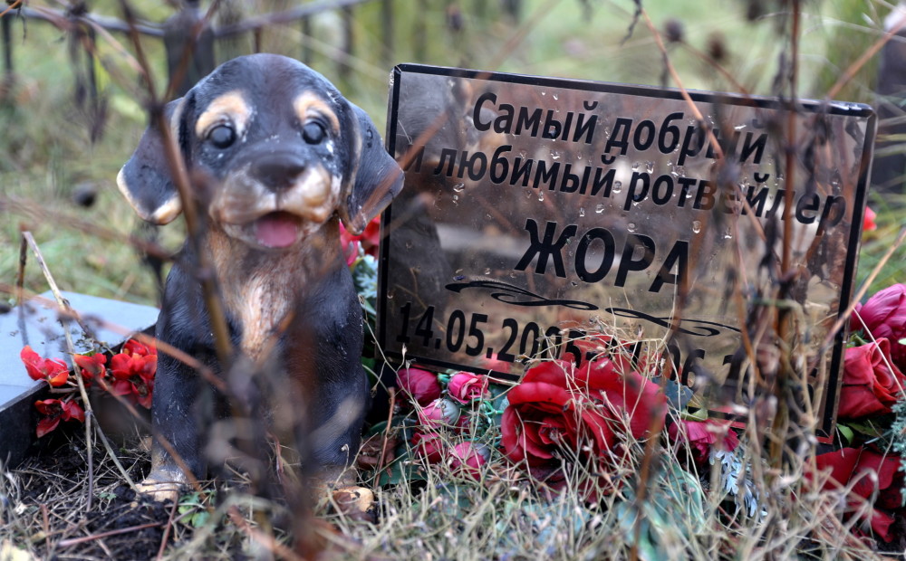 Desmit gadu kopš pirmās kapsētas. Kā Maskavā mīl mūžībā aizgājušos mājdzīvniekus