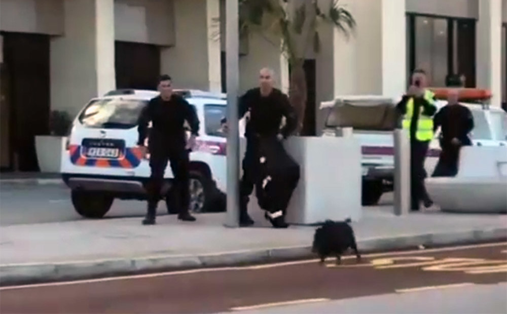 Policisti Maltas lidostā nespēj noķert žiperīgu cūku
