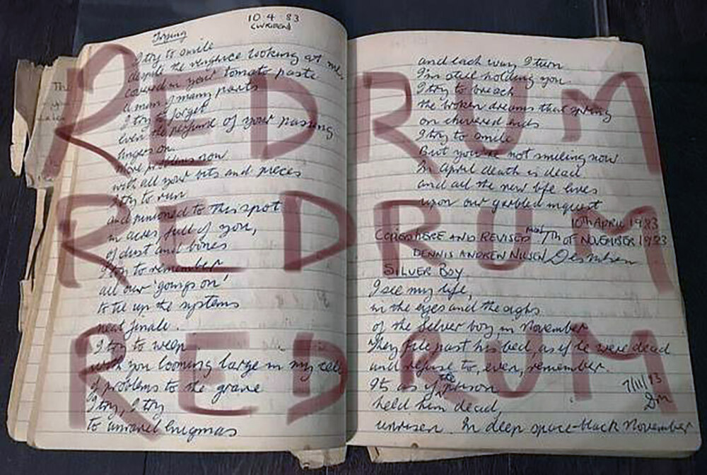 дневник маньяка. дневник маньяка книга. американский маньяк фильм. дневник маньяка убийцы. анатолий сливко дневник читать.