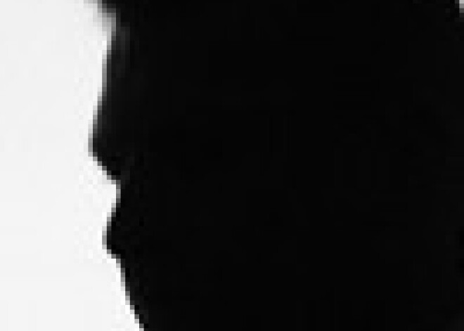Šlesers: pēc vēlēšanām Zatlers varētu atlaist Saeimu
