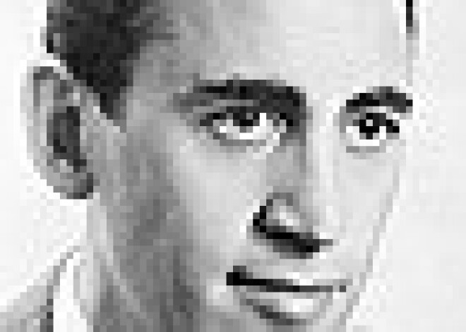 Selindžers iesūdz "Uz kraujas rudzu laukā" turpinājuma autoru