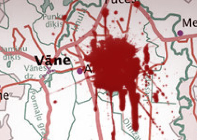 Bezjēdzīgo slepkavību paveica vairākkārt sodīti rīdzinieki