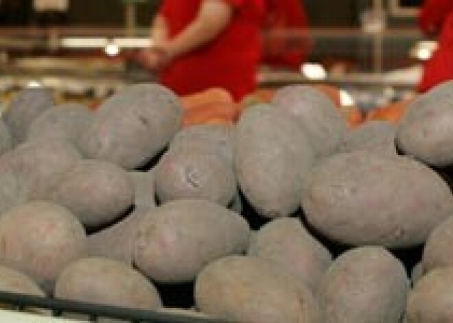 Kartupelis Latvijā kļūst par deficīta preci