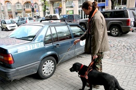 Uz ierasti drošās un pazīstamās ietves šoreiz bīstams šķērslis — no pagalma izbraucoša mašīna. Pečeņka apstājas kā iemieta un brīdina Konstantīnu. Viņš ar spieķi aptausta šķērsli un izlemj apiet mašīnu