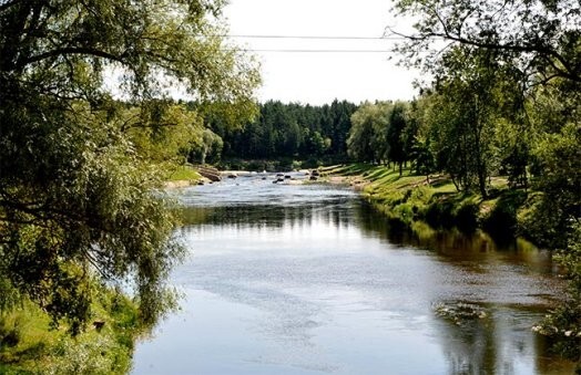 Ir vairāki iemesli, kāpēc Gauja ir īpaši bīstama peldēšanai – plūstošās smiltis, atvari, zaru sanesumi
