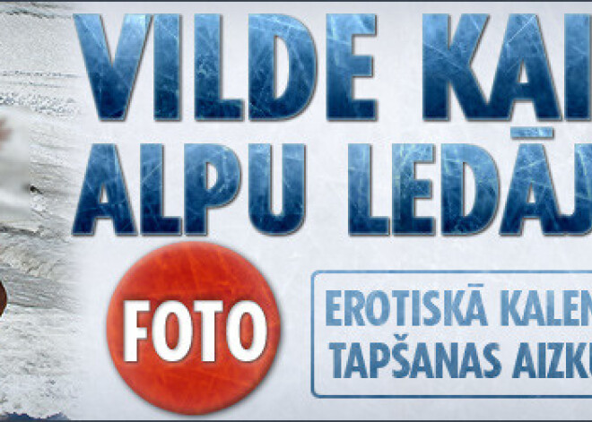 Vilde kaila Alpu ledājos