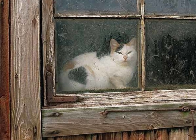 1. Skatīšanās pa logu