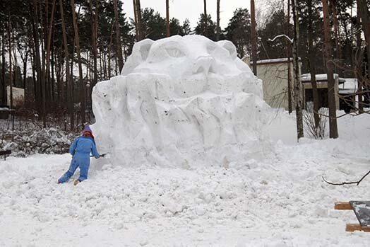 Par godu Baltā Tīģera gadam Rīgas Zooloģiskajā dārzā top iespaidīga ledus skulptūra.