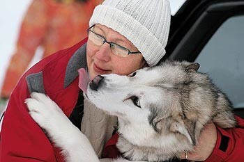 Kaut haskiji daudzus radījumus uzskata par medījumu, pret cilvēkiem viņi ir ļoti mīlīgi.