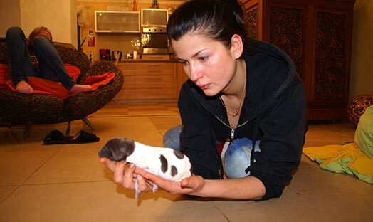 Četrus mēnešus Belicka uzturējās Īrijā un Anglijā un nedarīja neko.