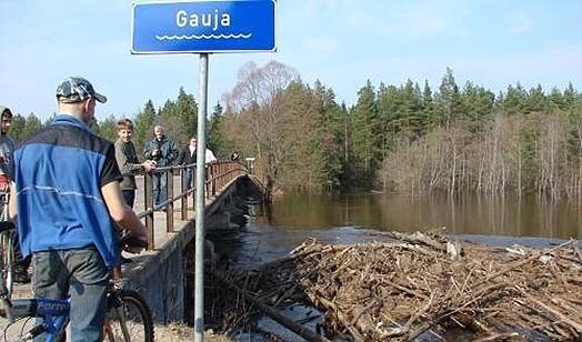 Brīdis, kad koku krāvums vēl tikai sāka uzņemt savus apmērus.