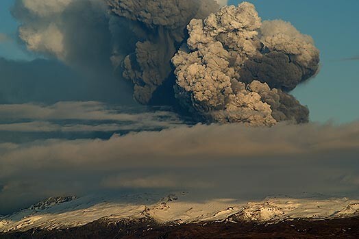 Vulkāna pelni ir bīstami mājlopiem