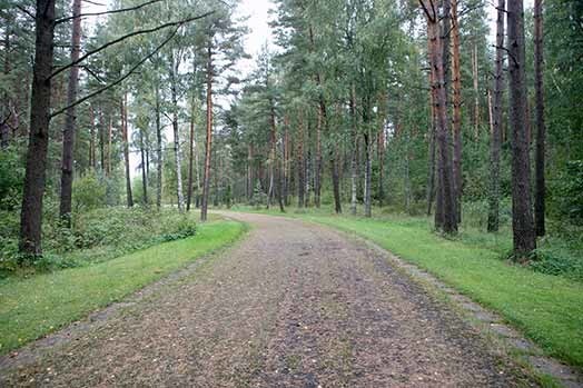 Latvijas robežsargi uz Igaunijas robežas pēc divu gadu ilgas meklēšanas atraduši četrus „nelikumīgus” pagasta ceļus, kuri steidzīgi jāuzrok, lai pa tiem ļaudis nedotos uz Igauniju.