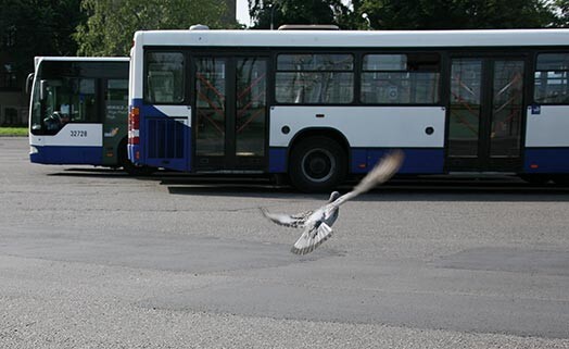 Autobusu vadītājiem jārēķinās ar biežākām pārbaudēm.