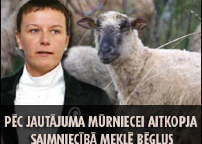 Pēc jautājuma Mūrniecei aitkopja saimniecībā meklē bēgļus