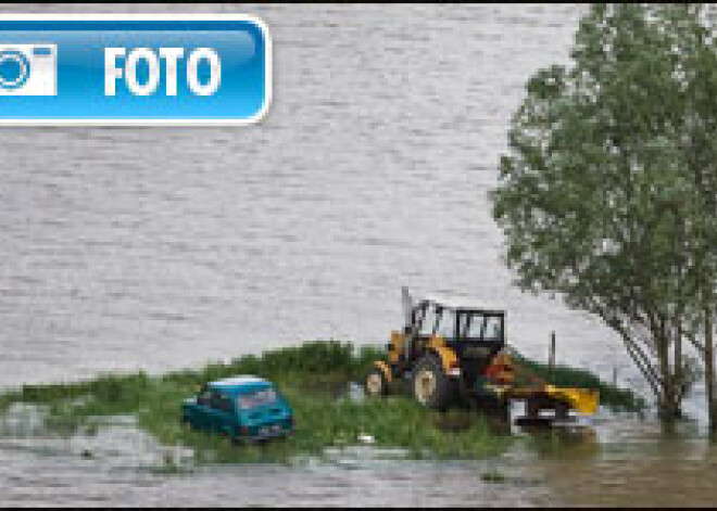 Polijas plūdos vainojami bebri