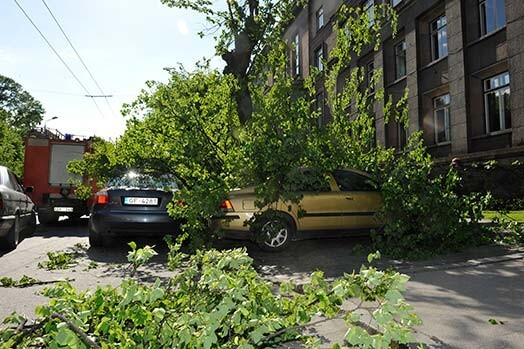 Rīgas centrā automašīnām uzgāžas koks.