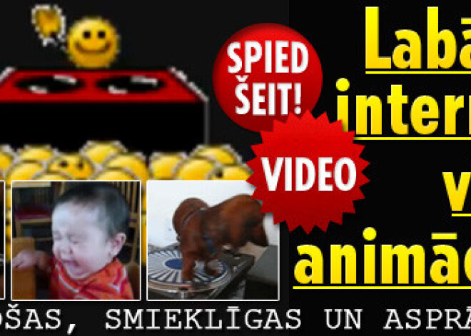 Šokējošāko, smieklīgāko un asprātīgāko video animāciju izlase.