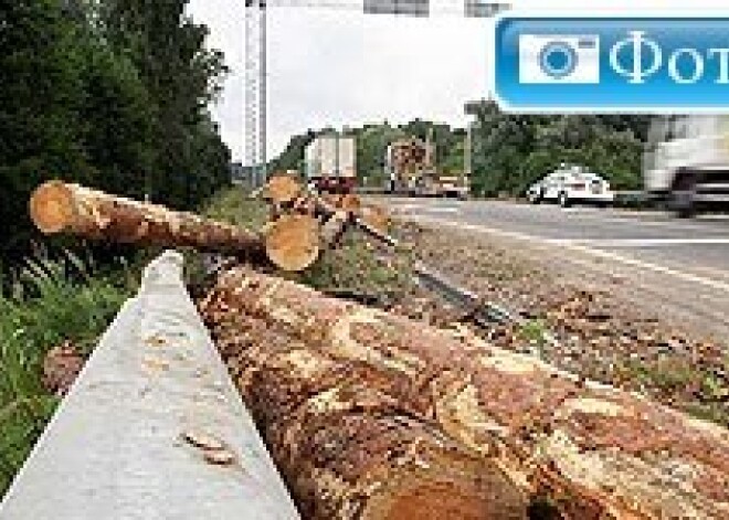 На Рижской окружной дороге перевернулся лесовоз