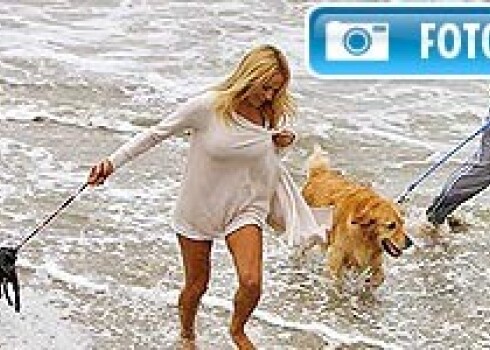 Kā Pamela Andersone ved pastaigā suņus. FOTO