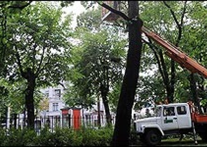 К Латвии приближается ураган