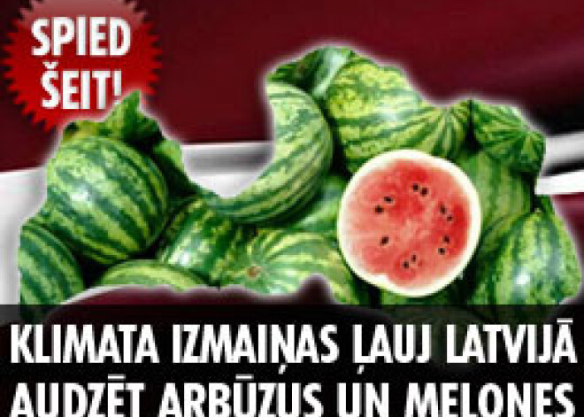 Klimata izmaiņas ļauj Latvijā audzēt arbūzus un melones