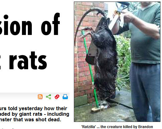 Ekrānšāviņš no britu portāla thesun.co.uk