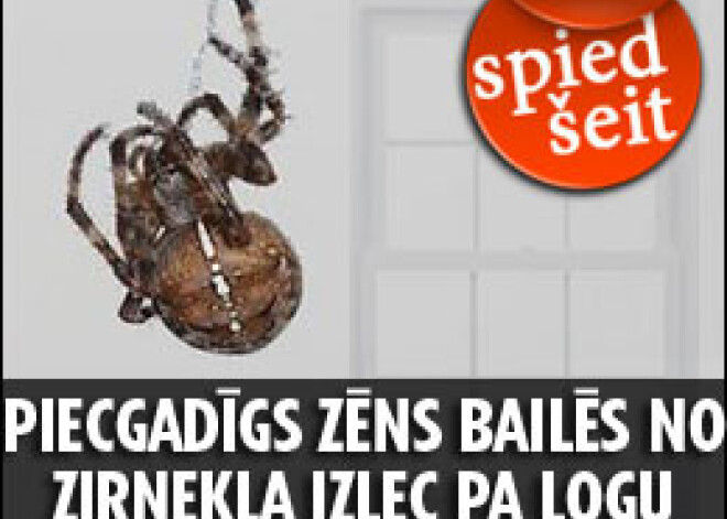 Jelgavā piecgadīgs zēns bailēs no zirnekļa izlec pa logu