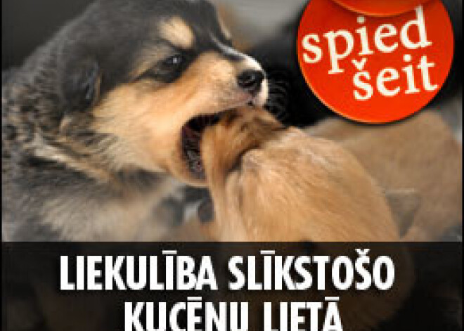 Sabiedrības liekulība slīkstošo kucēnu lietā