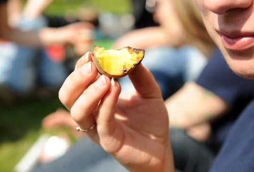 Igaunijas statistiķi ziņo, ka mūsu ziemeļu kaimiņi ēd ievērojami mazāk kartupeļus nekā latvieši un lietuvieši. Arī zivis un citu dārzeņus viņi uz galda lieks salīdzinoši mazāk.