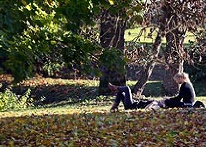 Температура воздуха превысила сегодня многолетние максимумы