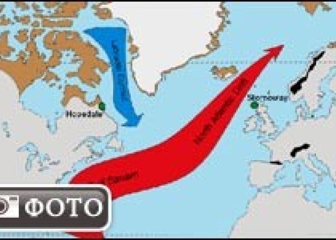 В холодах виновен Гольфстрим?
