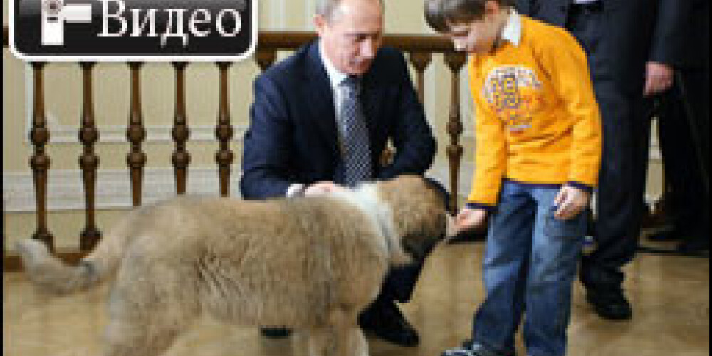 Путин наконец выбрал имя для своего болгарского щенка