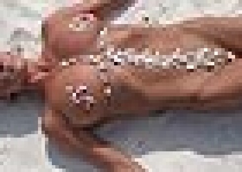 голые быдло родители