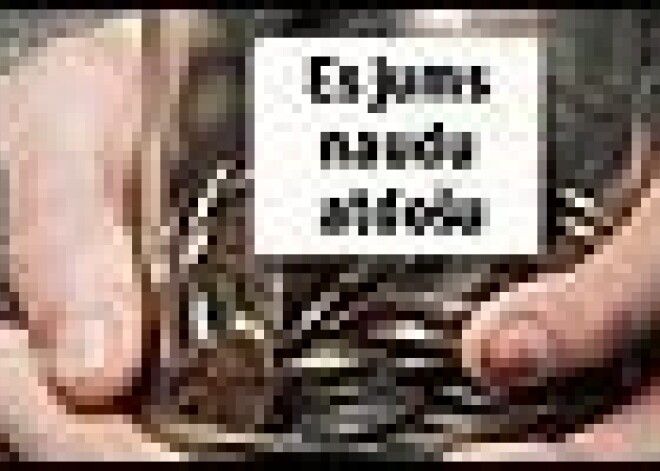 Новые трюки рижских попрошаек