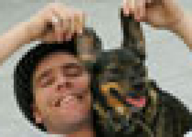 Kas notiks ar Mārtiņa Freimaņa dzīvniekiem?