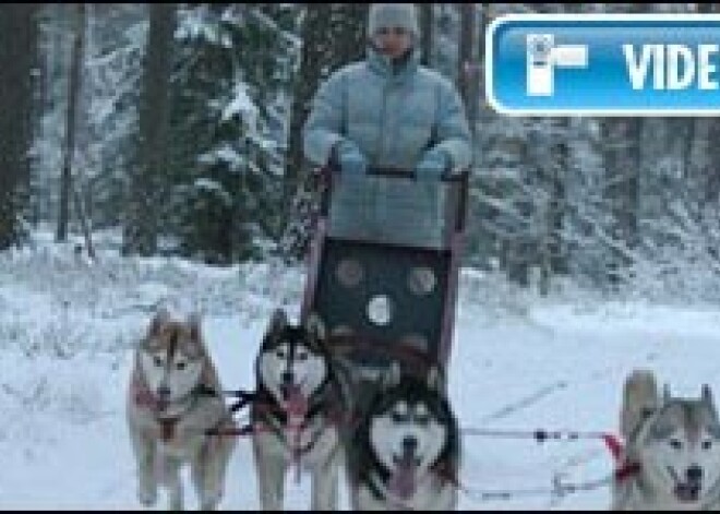 Brīvdienu ceļvedis. Septiņas lietas, kas jāpiedzīvo 5. un 6. februārī