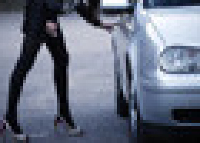 В Латвии официально зарегистрирована одна проститутка