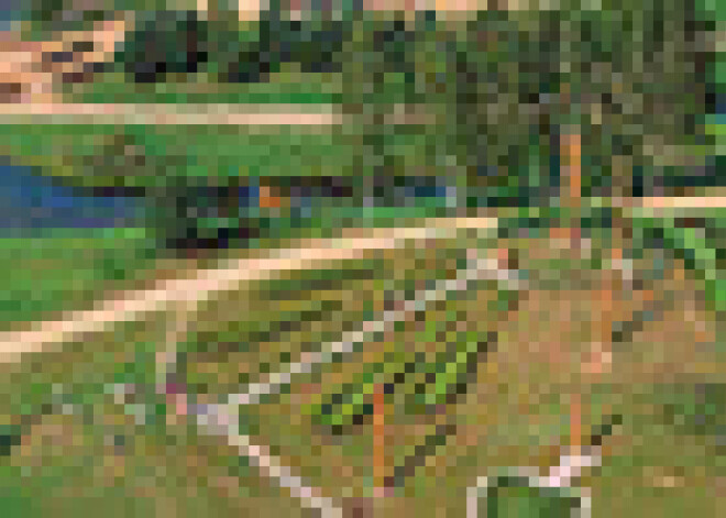 Pujata nopeltais Karaļa kalns