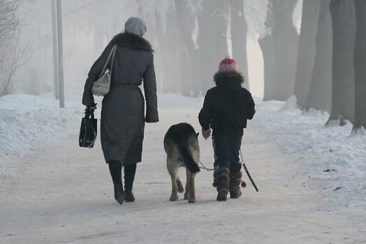 Siltāku laiku mēs, visticamāk, sagaidīsim vien februāra pēdējās trīs dienās.