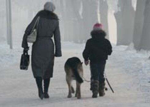 Aukstums Latvijā saglabāsies līdz februāra beigām; Apes novadā bijis zem - 29