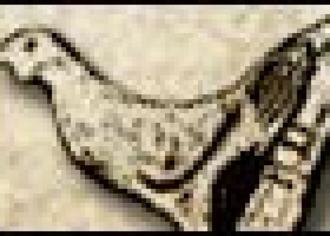 Esam 2000 gadus senāki, nekā domājām. Jāpārraksta Latvijas vēsture