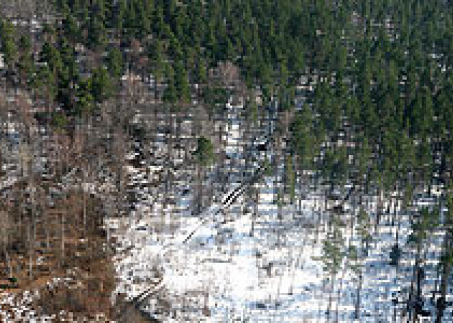 Līvbērzes pagastā nozagts ugunsnovērošanas tornis