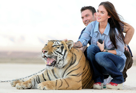 Megana Foksa ar vīru Braienu Ostinu Grīnu apmīļo tīģeri.