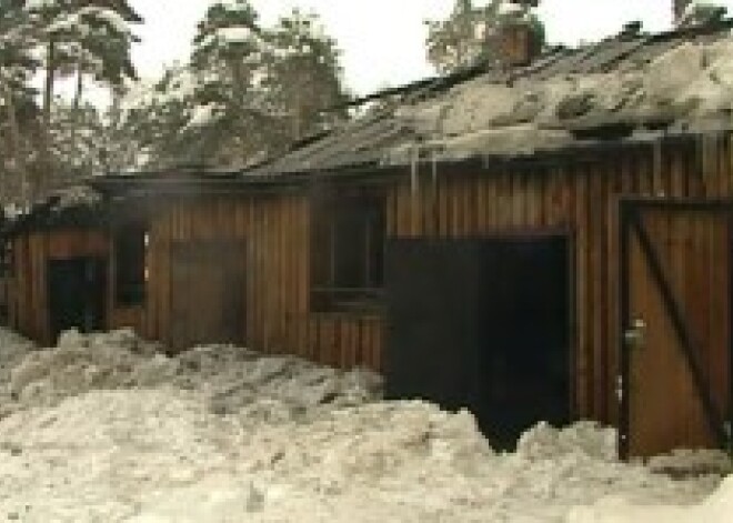 Компенсация за сгоревший в зоопарке дом для зебр составила 37,5 тыс. латов