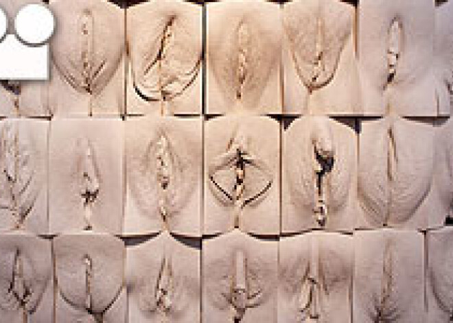 Завершена «Великая стена вагин»!