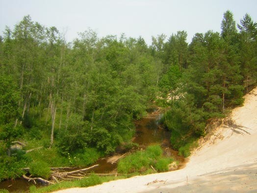 Viens no Latvijas dabas brīnumiem – Baltā kāpa pamazām brūk. Gan pašvaldība, gan vides speciālisti to iesaka pašreiz neapmeklēt.