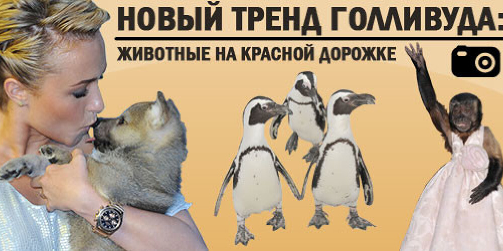 Пингвины представляют Джима Керри